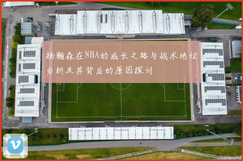杨瀚森在NBA的成长之路与战术地位分析及其背后的原因探讨