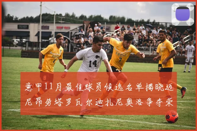 意甲11月最佳球员候选名单揭晓迈尼昂劳塔罗瓦尔迪扎尼奥洛争夺荣誉