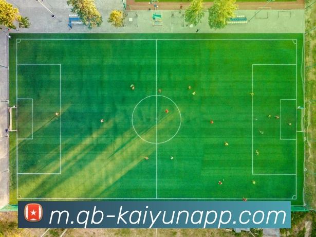 开云体育服务体系